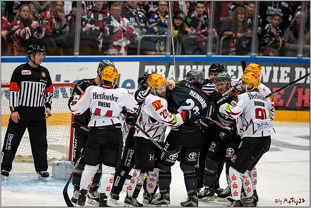 Koelner Haie - Pinguins Bremerhaven, 25.10.2016
